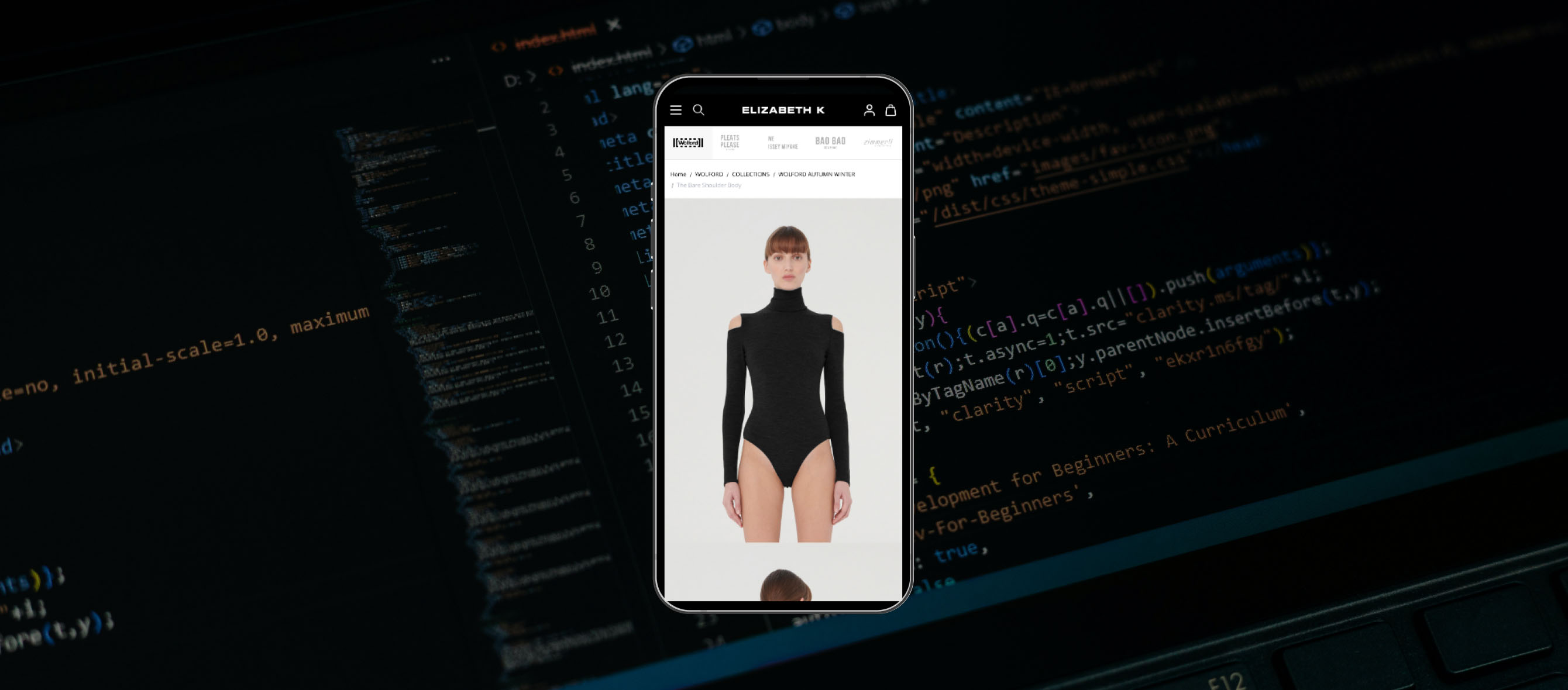 eCommerce store hosting on mobile